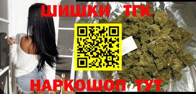 тгк Партизанск