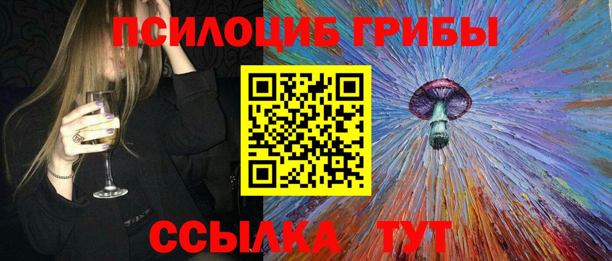 Псилоцибиновые грибы Psilocybe Сатка